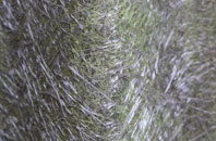 Limpers Hill fibreglass roof work